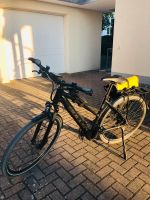 E-Bike Bulls Lacuba Evo Lite Baden-Württemberg - Ertingen Vorschau