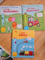 Erste lern Bücher  Saarland - Beckingen Vorschau