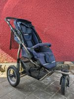 Quinny Freestyle Comfort XL mit viel Zubehör Westerwaldkreis - Weltersburg Vorschau