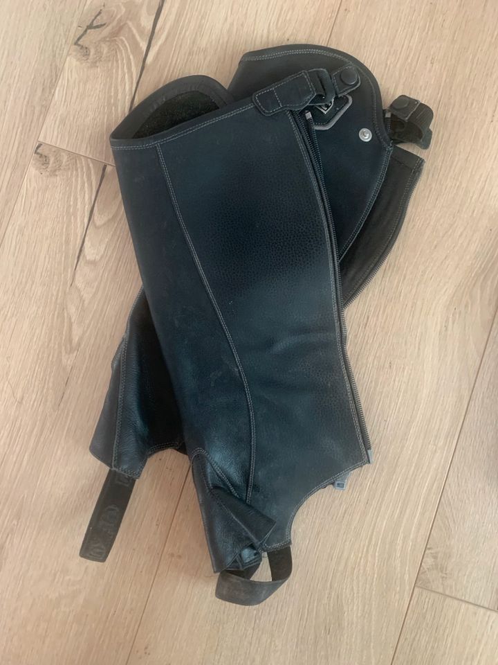 Cavallo Dynamic Chaps Chapslettwn Reitletten Kurzchaps Leder in Oberursel (Taunus)