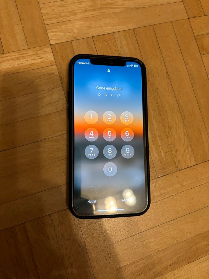 iPhone 12 Pro in Nürnberg (Mittelfr)