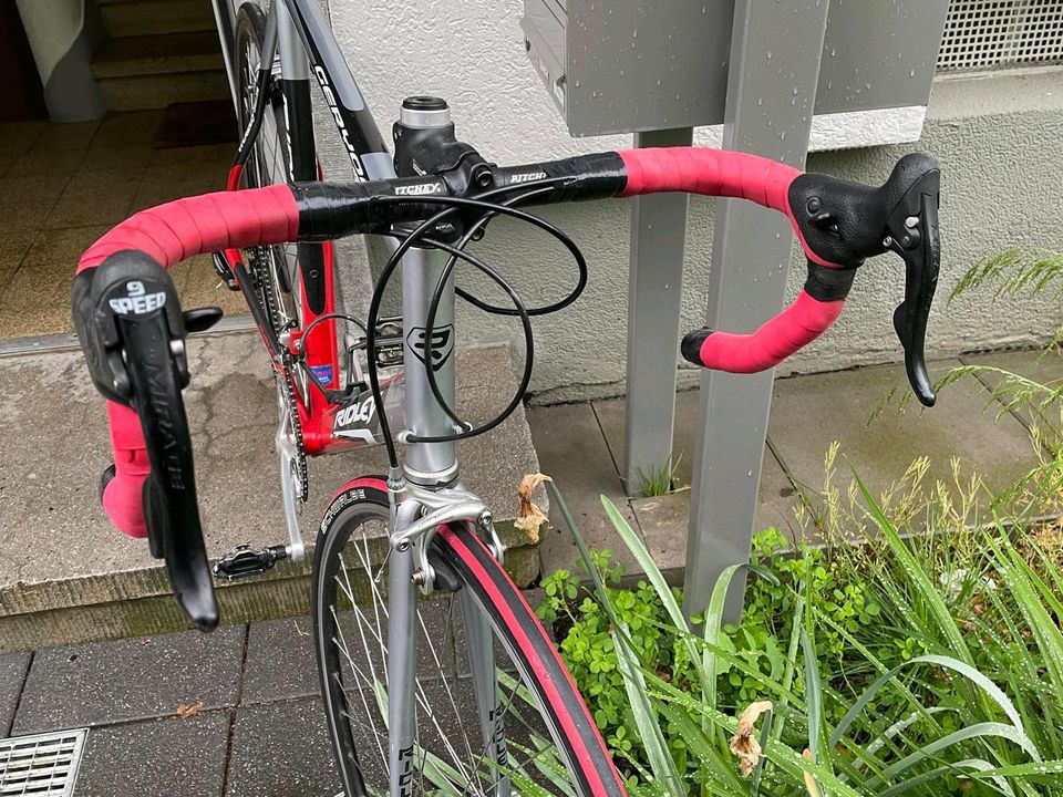 Ridley Campagnolo 60cm in Frankfurt am Main