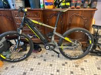 Bottecchia eBike 27,5 Zoll Rheinland-Pfalz - Roth an der Our Vorschau