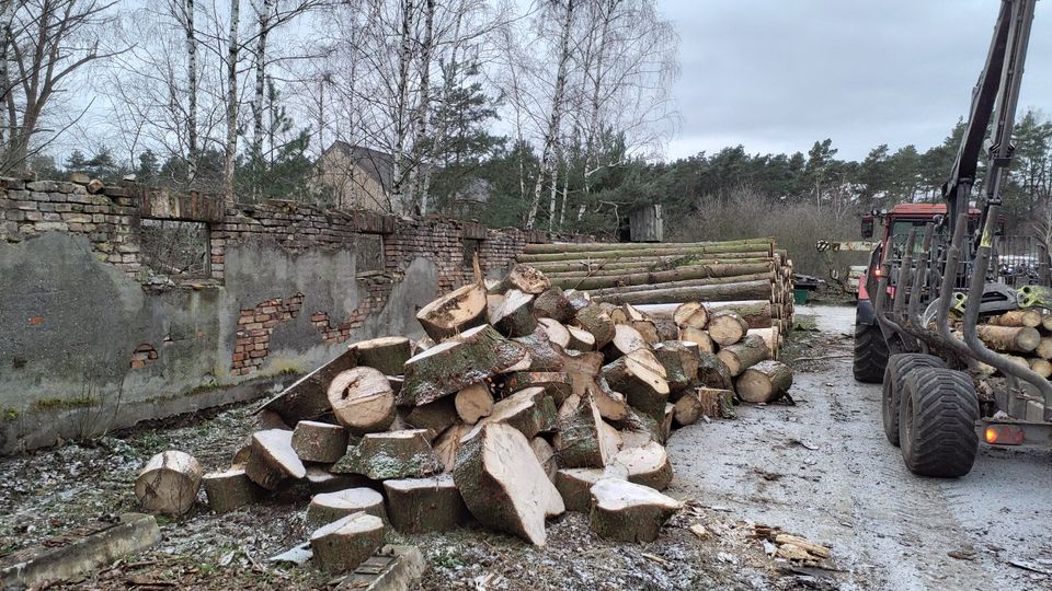 Brennholz, kaminholz in Kaltwasser