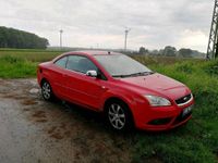 Ford Focus Cabrio *FESTPREIS* Nordrhein-Westfalen - Datteln Vorschau