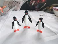 Verkaufe 3 Pinguine Bayern - Erbendorf Vorschau