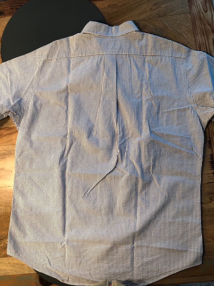 Ralph Lauren NEU Hemd L blau weiß gestreift kurz Kurzarmhemd Polo in Saulheim