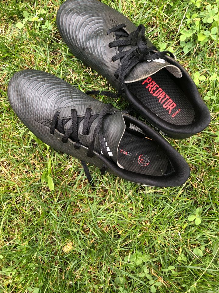 Adidas Fußball Stollenschuhe Predators in Oettingen in Bayern