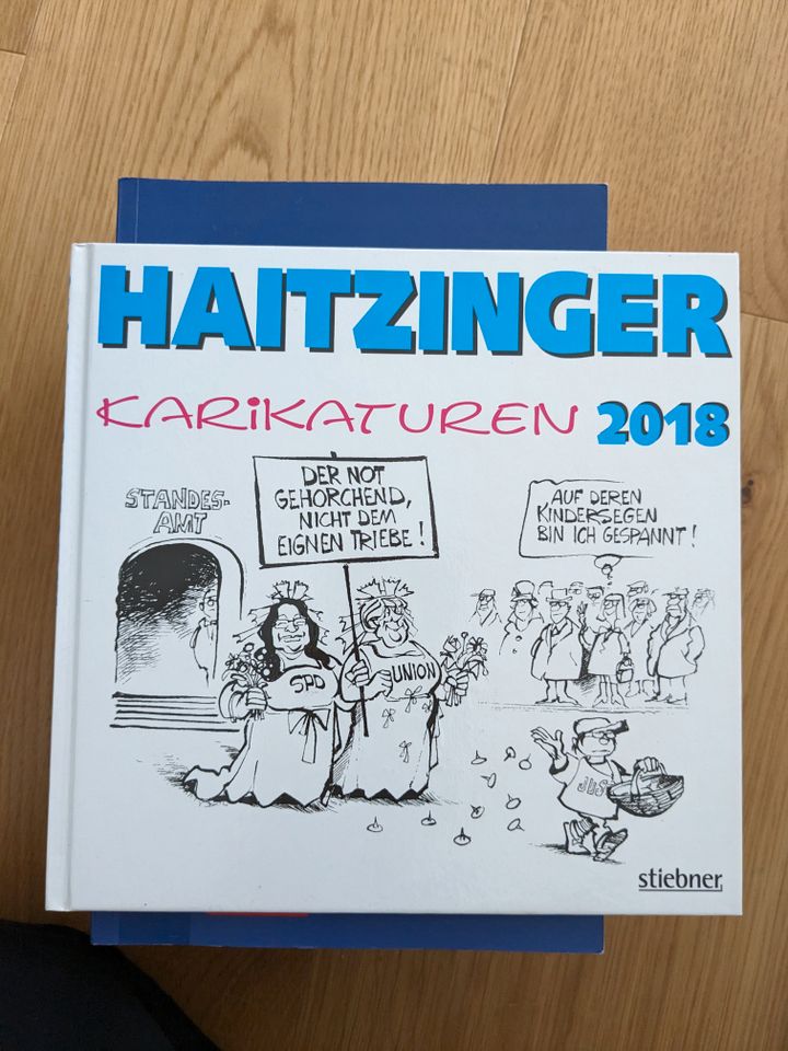 Haitzinger Karikaturen 2018 in Gäufelden