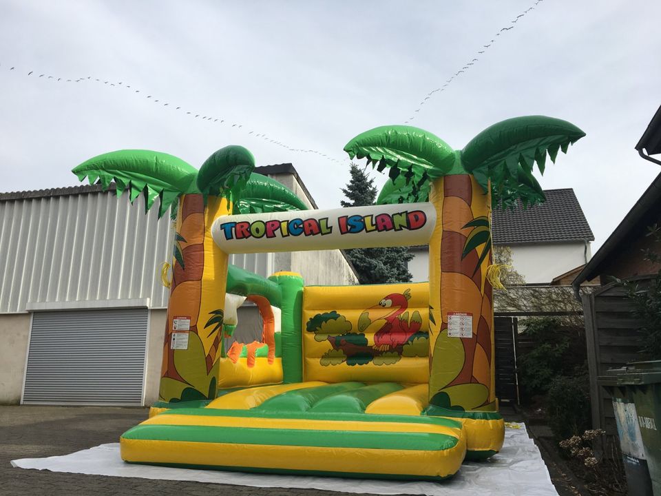 Profi Hüpfburg -  Tropical Island - 5x4m 110€ pro Wochenende in Braunschweig