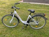 Damenrad (Citybike) Hessen - Kassel Vorschau