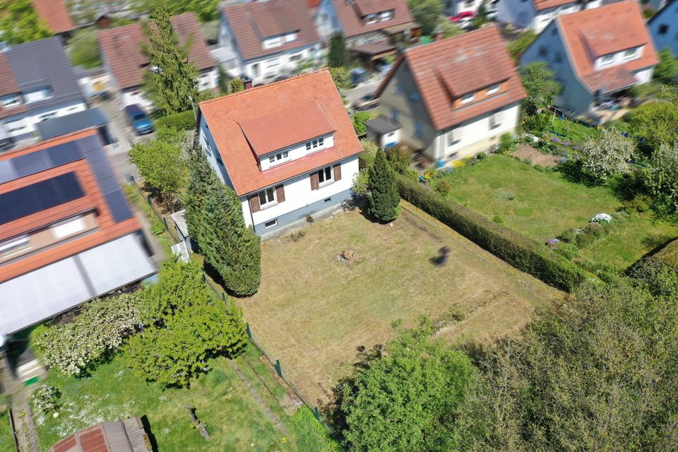 Den Sommer im eigenen Garten! Traumhaftes Einfamilienhaus in Giengen !!! in Giengen an der Brenz
