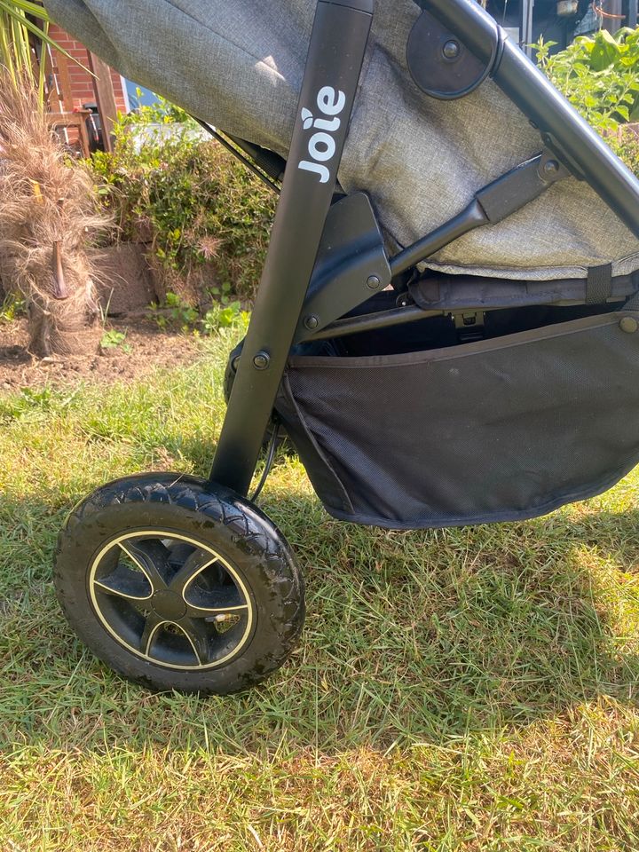 Joie Mytrax Grey Flower Sonderedition Kinderwagen Kinder Buggy in Buchholz in der Nordheide