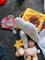 Diverses Babyspielzeug Thüringen - Gehren Vorschau