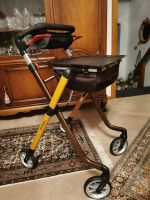 Rollator Pixel guter Zustand Nordrhein-Westfalen - Eschweiler Vorschau