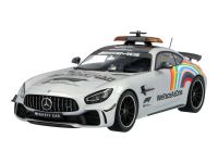 Mercedes AMG GT R Formel 1  Safety Car 1:18 Limitiert Formula One Rheinland-Pfalz - Dittelsheim-Heßloch Vorschau