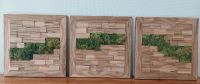 Holzbild, Moosbild, Esche, Spaltholz, Greengarden, Wandbild, Wand Sachsen - Zeithain Vorschau