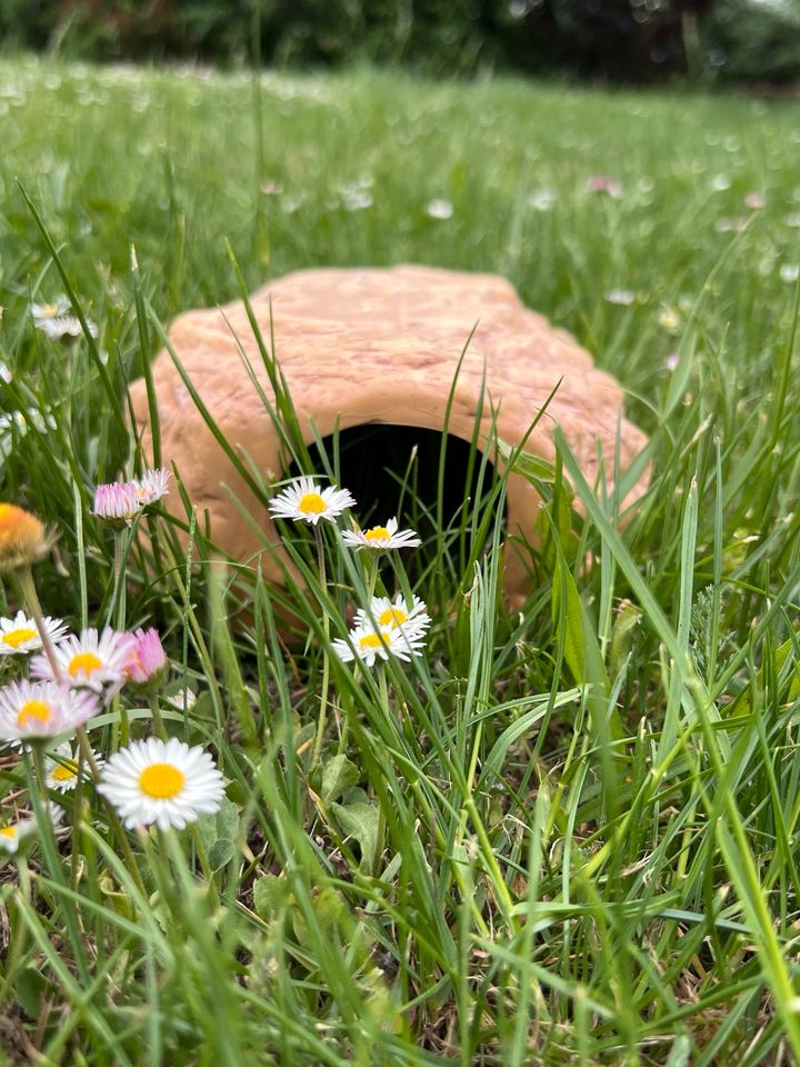 Rodipet Keramik Nagerfelsen, Größe S, Hamster/ Mäuse ❤️ in Berlin