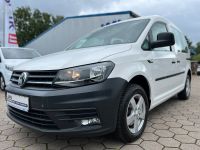 Volkswagen Caddy Nfz Kombi|1.HD|Navi|PDC|Klima|GRA|SHZ Kreis Pinneberg - Elmshorn Vorschau