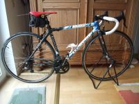 Colnago C40 B-Stay RH 46 Rennrad Cabon, 2x11 S, Campagnolo Gruppe Rheinland-Pfalz - Ingelheim am Rhein Vorschau