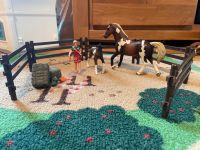 Schleich Horse Club 21049 Pferdefütterung Trakehner West - Schwanheim Vorschau