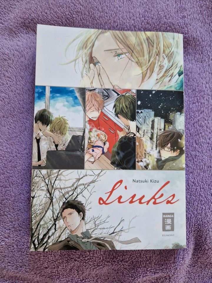 Links von Natsuki Kizu Manga BL Yaoi Boyslove in Frankfurt am Main