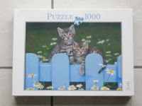 Puzzle mit Kätzchen 1000 Teile ab 10 Jahre - NEU Hannover - Ricklingen Vorschau