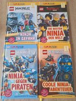 Lego Ninjago Bücher Niedersachsen - Katlenburg-Lindau Vorschau