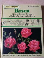 Rosen,die schönsten Sorten richtig pflanzen und pflegen aus 1978 Bayern - Weißenburg in Bayern Vorschau