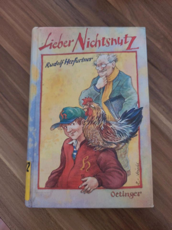 Jugendbuch "Lieber Nichtsnutz" Buch Lesen in Rheine