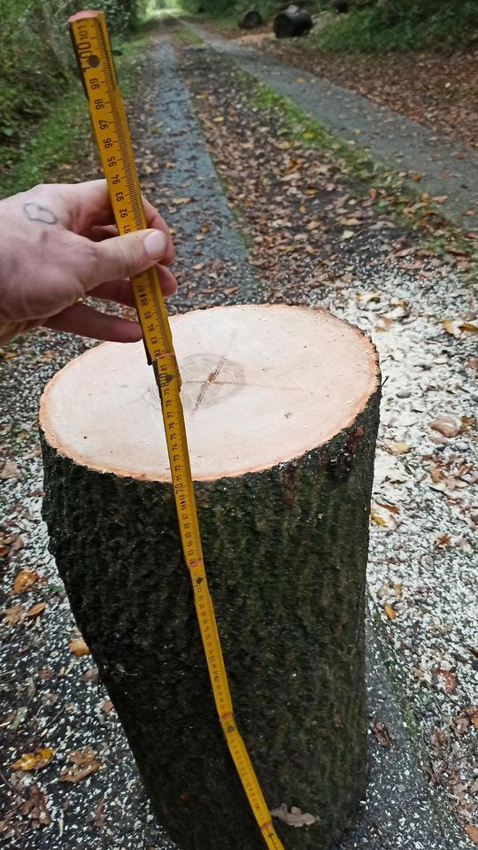 Baumstamm Hauklotz Hackklotz für Kaminholz ca. 70x35cm Esche in Heidgraben