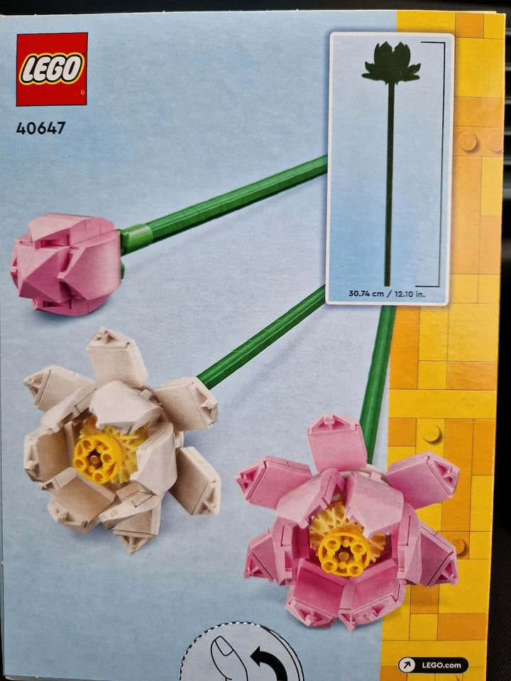 Lego Blumen in Greifswald