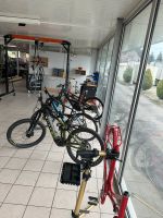 Fahrrad & E-Bike Reparatur/ Service Markenoffene Fahrradreparatur Nordrhein-Westfalen - Erwitte Vorschau