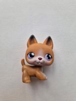 Littlest Pet Shop #112 Dog (LPS) Niedersachsen - Wallenhorst Vorschau