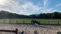 Eine großzügige Pferdeboxen in Vollpension // Pferdestall Nordrhein-Westfalen - Haltern am See Vorschau