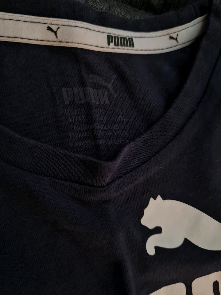 Puma T-Shirt in Wolfsburg