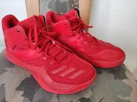 ADIDAS D Rose Bounce Gr. 42 Derrick Rose Basketballschuhe Schleswig-Holstein - Jevenstedt Vorschau