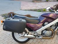 Honda NTV 650 Revere 60 PS Rheinland-Pfalz - Wintersheim Vorschau