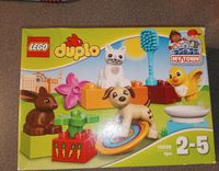 Lego Duplo 10838 Hessen - Bad Endbach Vorschau