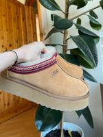 Platform Ugg Tazz + Imprägnierungsspray Niedersachsen - Wustrow (Wendland) Vorschau