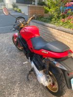 Gilera DNA 50 Hessen - Friedrichsdorf Vorschau