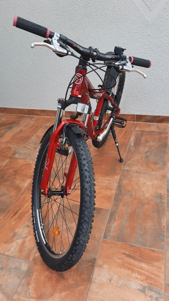 Mountainbike, Modell Miss 3300 in Silberhausen