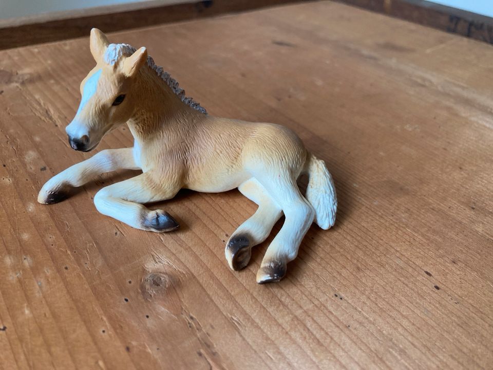 Haflinger FOHLEN_liegend _Schleich in Bielefeld