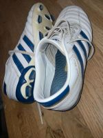 Fußballschuhe _ D1 Juniorenalter Adidas adinova 38 2/3 Bayern - Ottensoos Vorschau