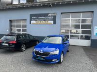 Skoda Fabia Cool Plus Klima Alu PDC SHZ BT DAB Rheinland-Pfalz - Erbach Vorschau