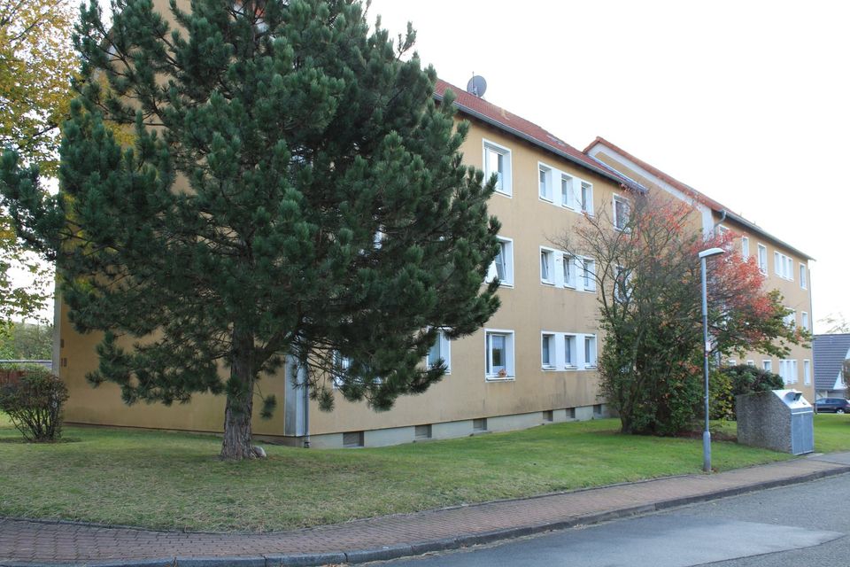 Wunderschöne 2,5 Zimmer Wohnung in Erdgeschoss-Lage in Liebenburg 6292.10101 in Liebenburg