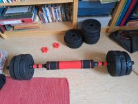 Gewichte für Fitness 30kg, weights for fitness Hessen - Bad Homburg Vorschau