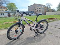 Kinderfahrrad 20 Zoll Raymon TwoRay 1.0 Leipzig - Burghausen-Rückmarsdorf Vorschau