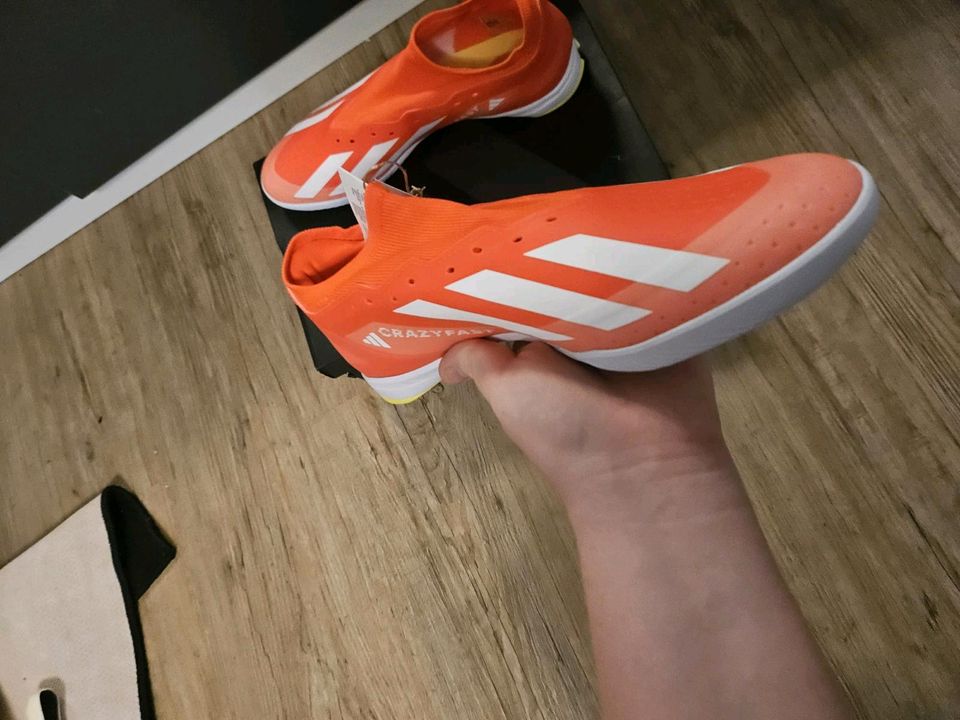 Adidas Crazy Fast Hallenfußballschuhe in Leipzig