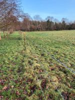 Elektro-T-Pfosten(Stahl)-Zaun Niedersachsen - Großheide Vorschau